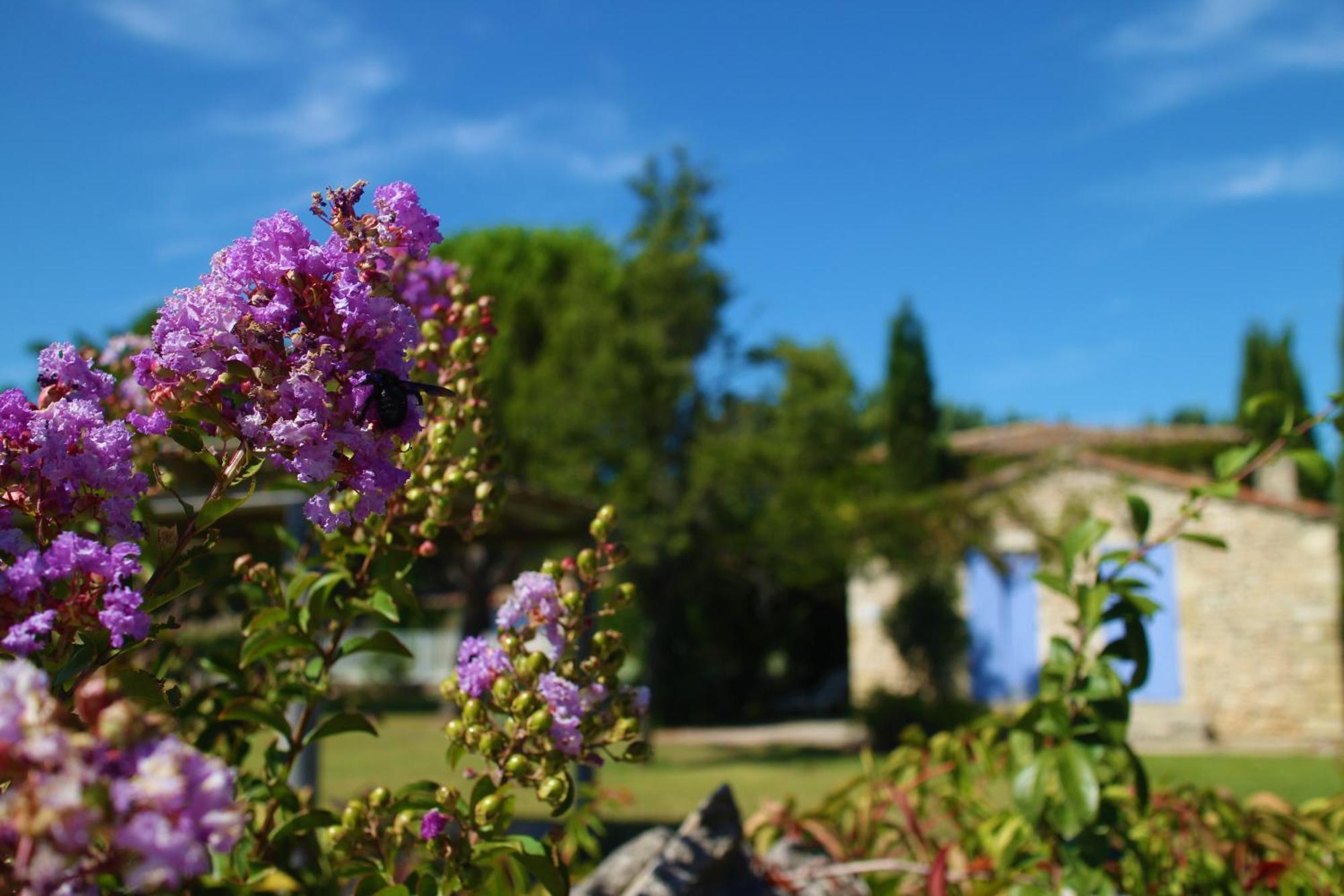 Mas Orea Gordes Buitenkant foto